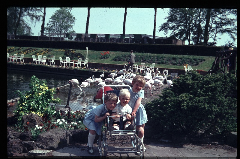 19.Avifauna mei 1966 Brigitte,Marion,Peter.JPG